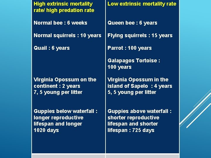 High extrinsic mortality rate/ high predation rate Low extrinsic mortality rate Normal bee :