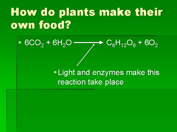 How do plants make their own food? § 6 CO 2 + 6 H How do plants make their own food? § 6 CO 2 + 6 H