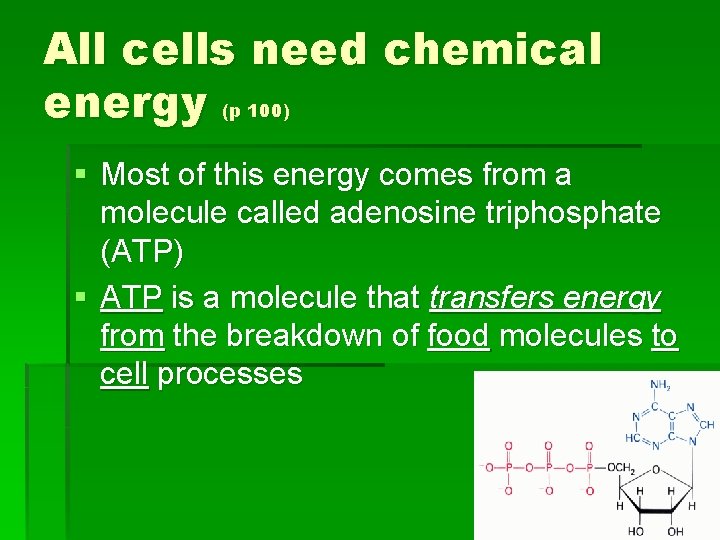 All cells need chemical energy (p 100) § Most of this energy comes from All cells need chemical energy (p 100) § Most of this energy comes from