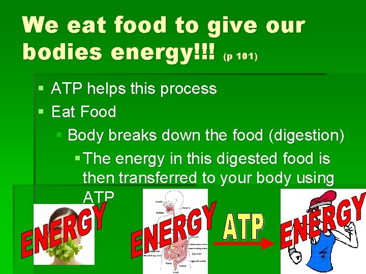 We eat food to give our bodies energy!!! (p 101) § ATP helps this We eat food to give our bodies energy!!! (p 101) § ATP helps this