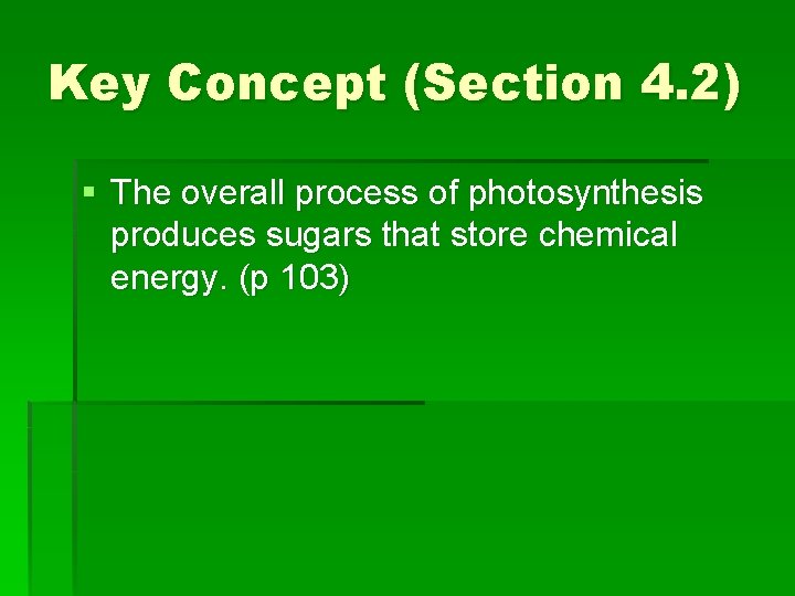Key Concept (Section 4. 2) § The overall process of photosynthesis produces sugars that Key Concept (Section 4. 2) § The overall process of photosynthesis produces sugars that