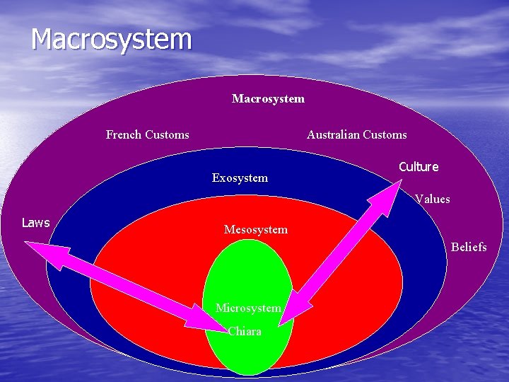 Macrosystem French Customs Australian Customs Exosystem Culture Values Laws Mesosystem Beliefs Microsystem Chiara 