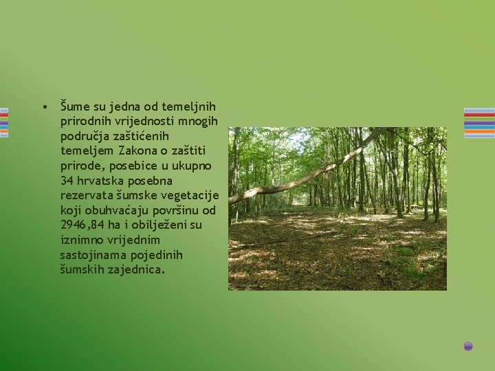  • Šume su jedna od temeljnih prirodnih vrijednosti mnogih područja zaštićenih temeljem Zakona