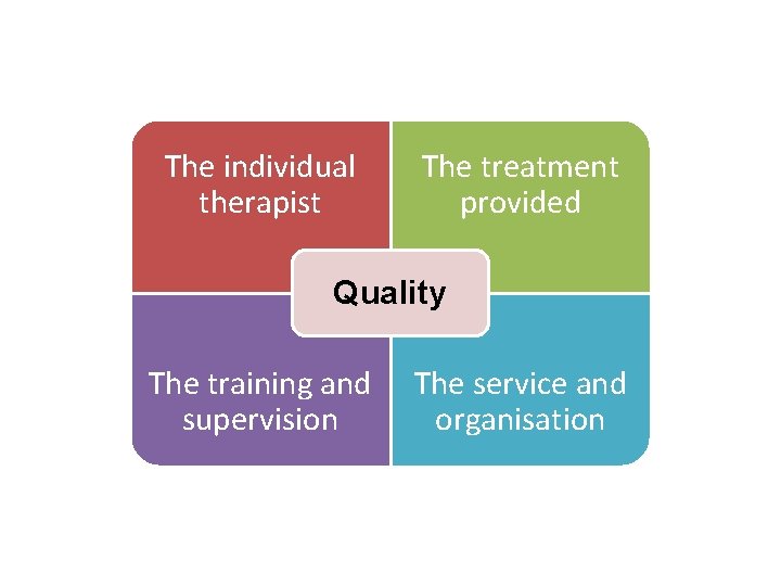 The individual therapist The treatment provided Quality The training and supervision The service and