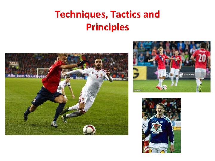 Techniques, Tactics and Principles 