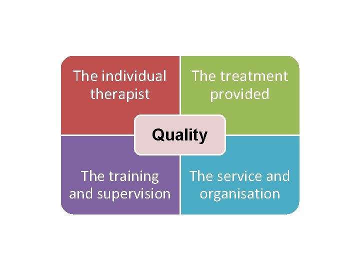 The individual therapist The treatment provided Quality The training and supervision The service and