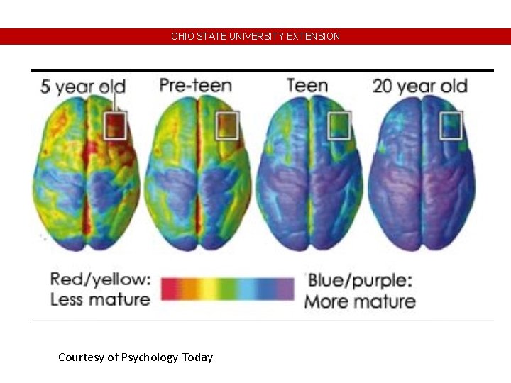 OHIO STATE UNIVERSITY EXTENSION Courtesy of Psychology Today OHIO STATE UNIVERSITY EXTENSION Courtesy of Psychology Today