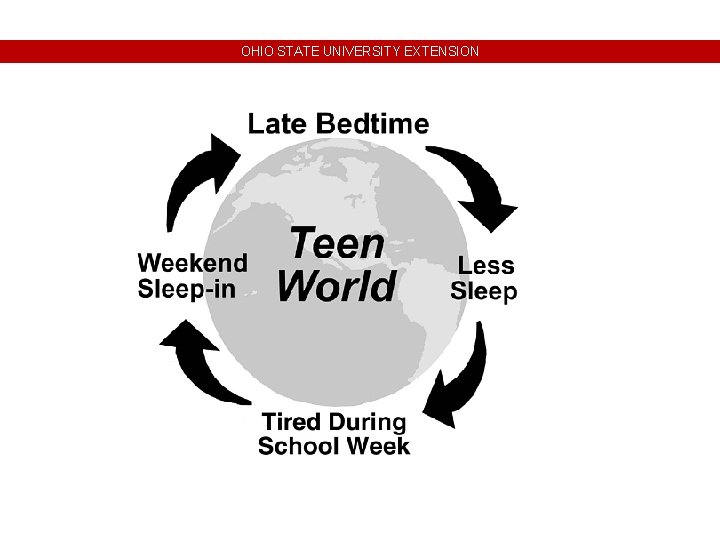 OHIO STATE UNIVERSITY EXTENSION OHIO STATE UNIVERSITY EXTENSION