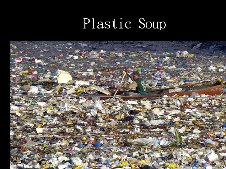 Plastic Soup 