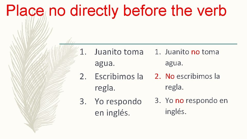 Place no directly before the verb 1. Juanito toma agua. 2. Escribimos la regla.