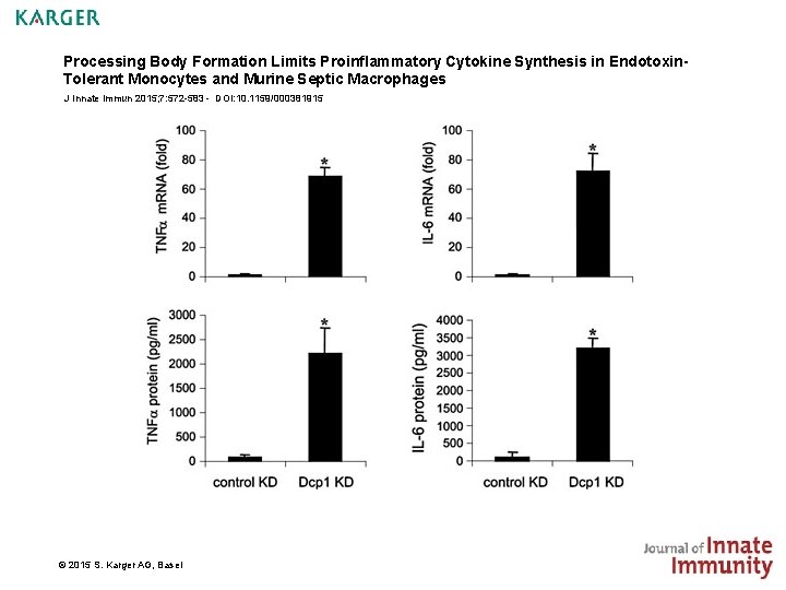 Processing Body Formation Limits Proinflammatory Cytokine Synthesis in