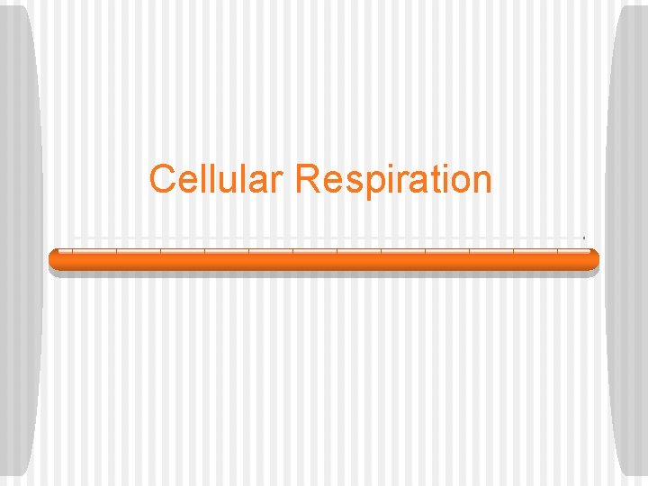 Cellular Respiration 