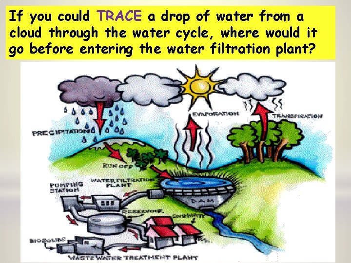 If you could TRACE a drop of water from a cloud through the water