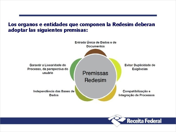 Los organos e entidades que componen la Redesim deberan adoptar las siguientes premisas: 