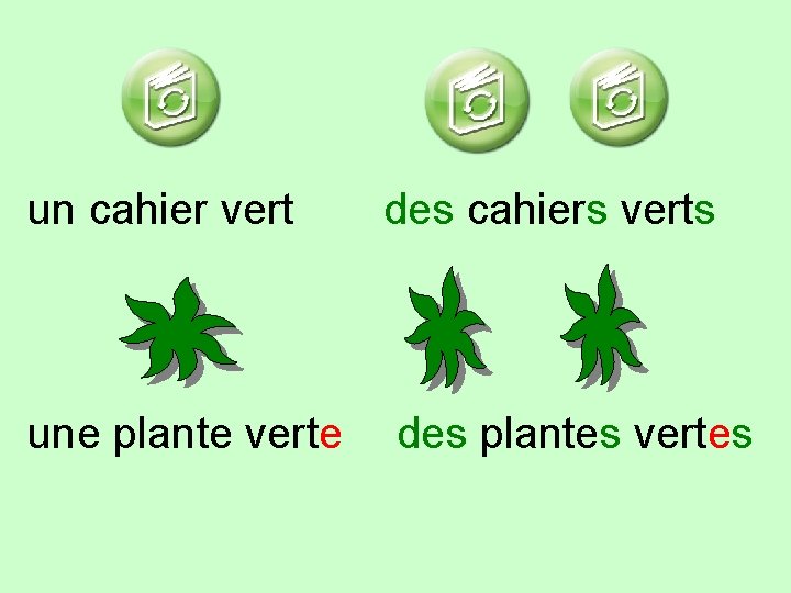 un cahier vert des cahiers verts une plante verte des plantes vertes 