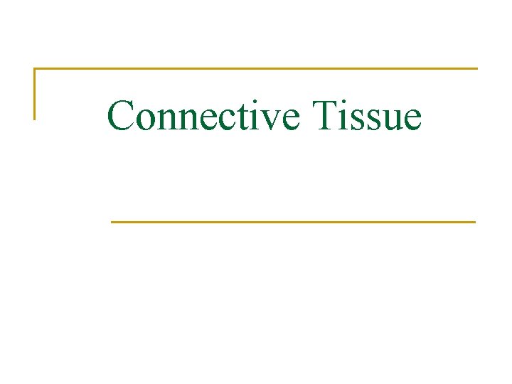 Connective Tissue 