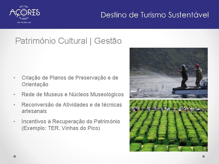 Património Cultural | Gestão • Criação de Planos de Preservação e de Orientação •