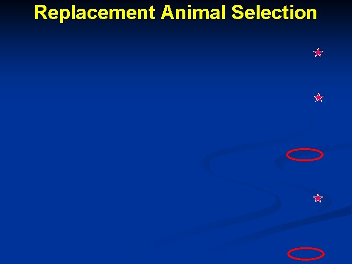 Replacement Animal Selection 