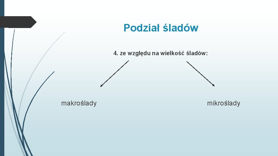 Podział śladów 4. ze względu na wielkość śladów: makroślady mikroślady 