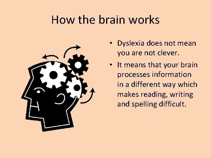 How the brain works • Dyslexia does not mean you are not clever. •