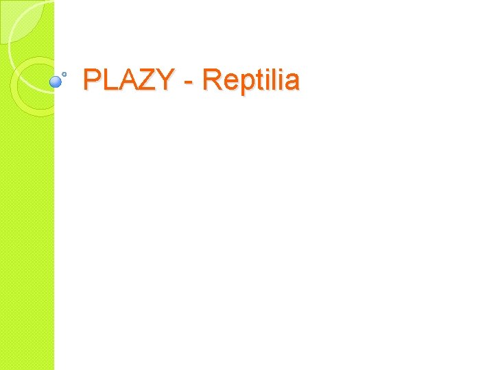 PLAZY - Reptilia 