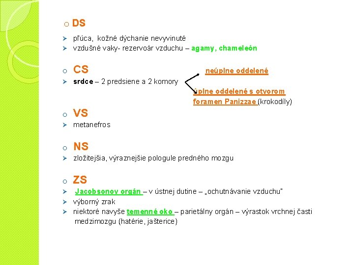 o DS pľúca, kožné dýchanie nevyvinuté Ø vzdušné vaky- rezervoár vzduchu – agamy, chameleón