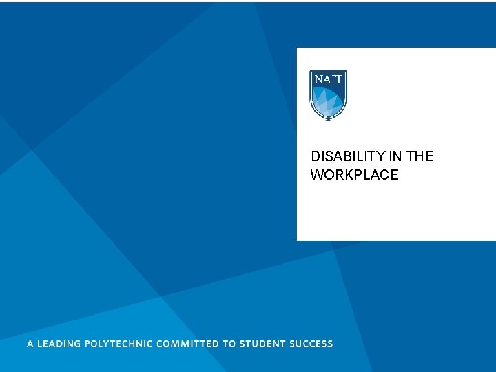 DISABILITY IN THE WORKPLACE 