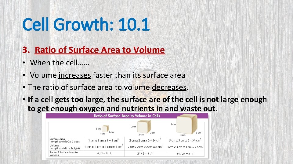 Cell Growth: 10. 1 3. Ratio of Surface Area to Volume • When the
