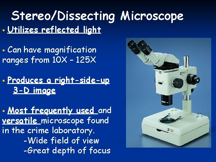 Stereo/Dissecting Microscope § Utilizes reflected light Can have magnification ranges from 10 X –