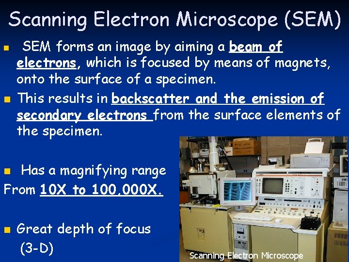 Scanning Electron Microscope (SEM) n n SEM forms an image by aiming a beam