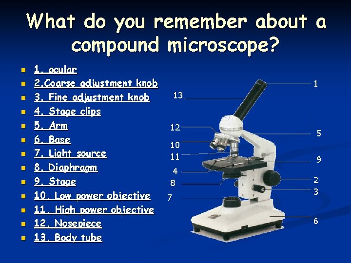 What do you remember about a compound microscope? n n n n 1. ocular