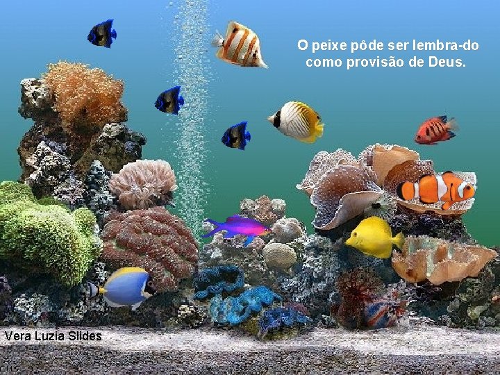 O peixe pôde ser lembra do como provisão de Deus. Vera Luzia Slides 