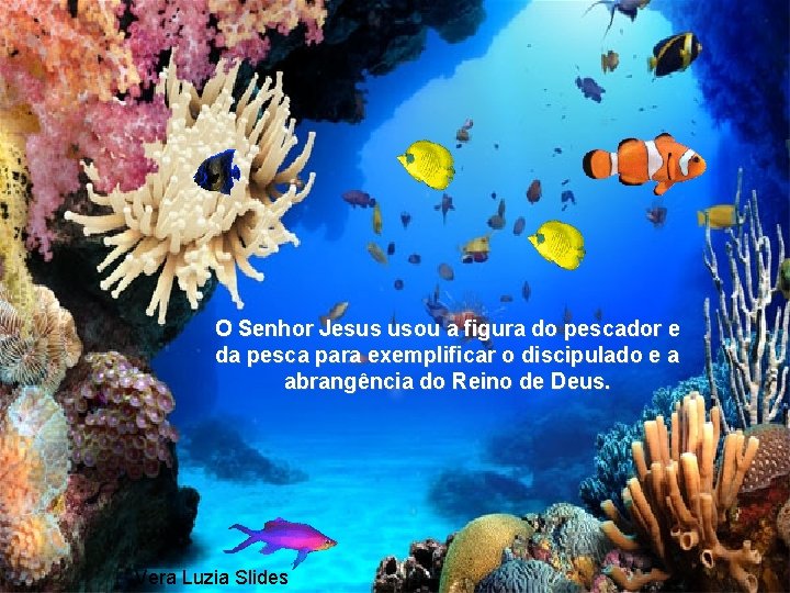 O Senhor Jesus usou a figura do pescador e da pesca para exemplificar o