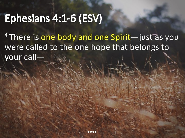 Ephesians 4: 1 -6 (ESV) 4 There is one body and one Spirit—just as