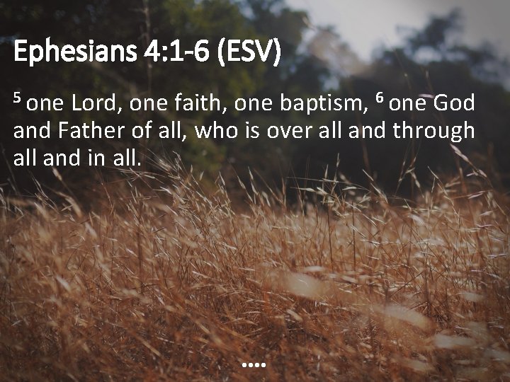 Ephesians 4: 1 -6 (ESV) 5 one Lord, one faith, one baptism, 6 one