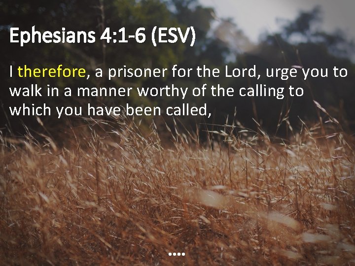 Ephesians 4: 1 -6 (ESV) I therefore, a prisoner for the Lord, urge you