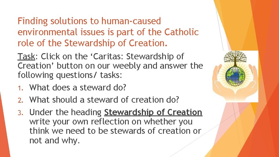 Finding solutions to human-caused environmental issues is part of the Catholic role of the