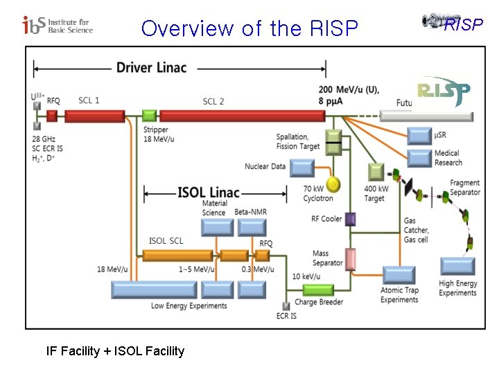 Overview of the RISP IF Facility + ISOL Facility RISP 