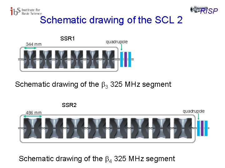 Schematic drawing of the SCL 2 SSR 1 344 mm RISP quadrupole Schematic drawing