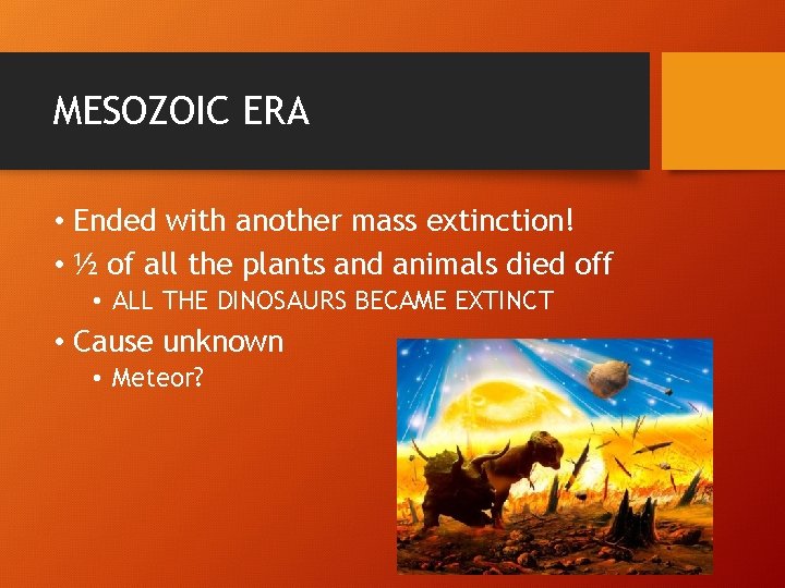 MESOZOIC ERA • Ended with another mass extinction! • ½ of all the plants