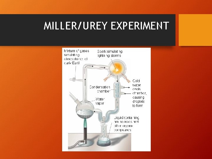 MILLER/UREY EXPERIMENT 