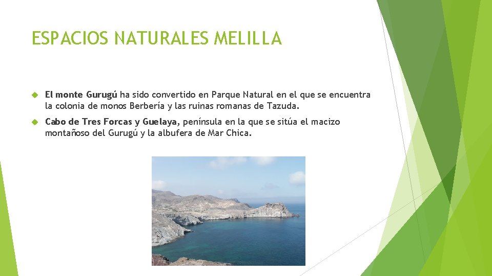 ESPACIOS NATURALES MELILLA El monte Gurugú ha sido convertido en Parque Natural en el