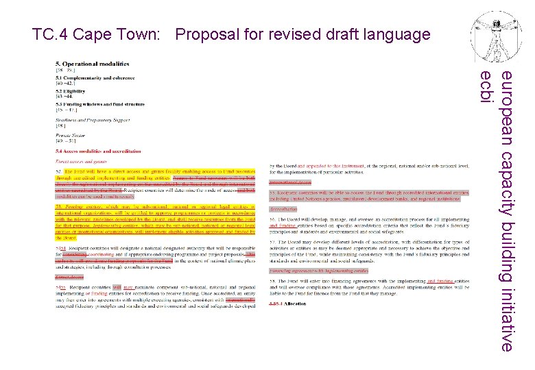 TC. 4 Cape Town: Proposal for revised draft language european capacity building initiative ecbi