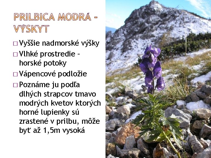 � Vyššie nadmorské výšky � Vlhké prostredie – horské potoky � Vápencové podložie �