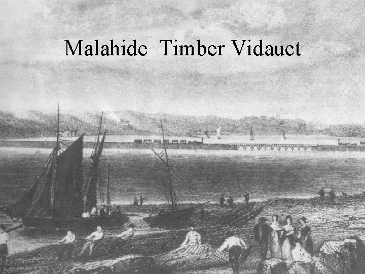 Malahide Timber Vidauct 