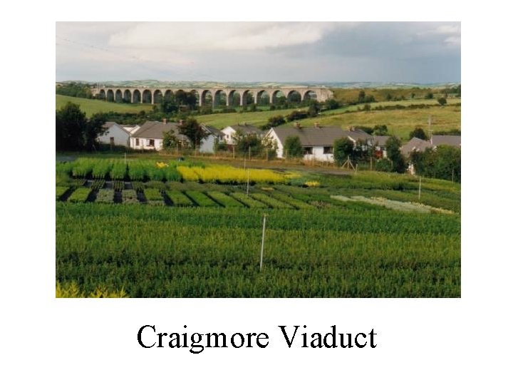 Craigmore Viaduct 