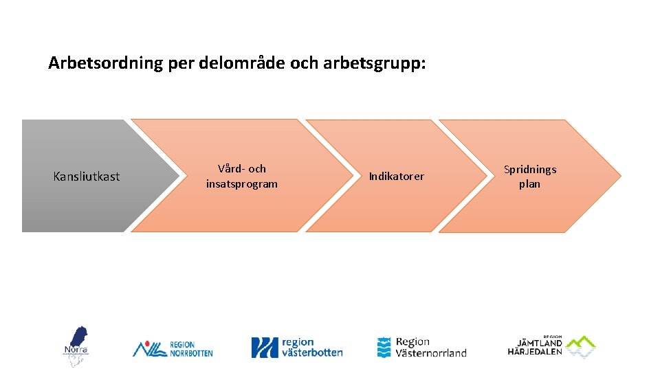 Arbetsordning per delområde och arbetsgrupp: Kansliutkast Vård- och insatsprogram Indikatorer Spridnings plan 