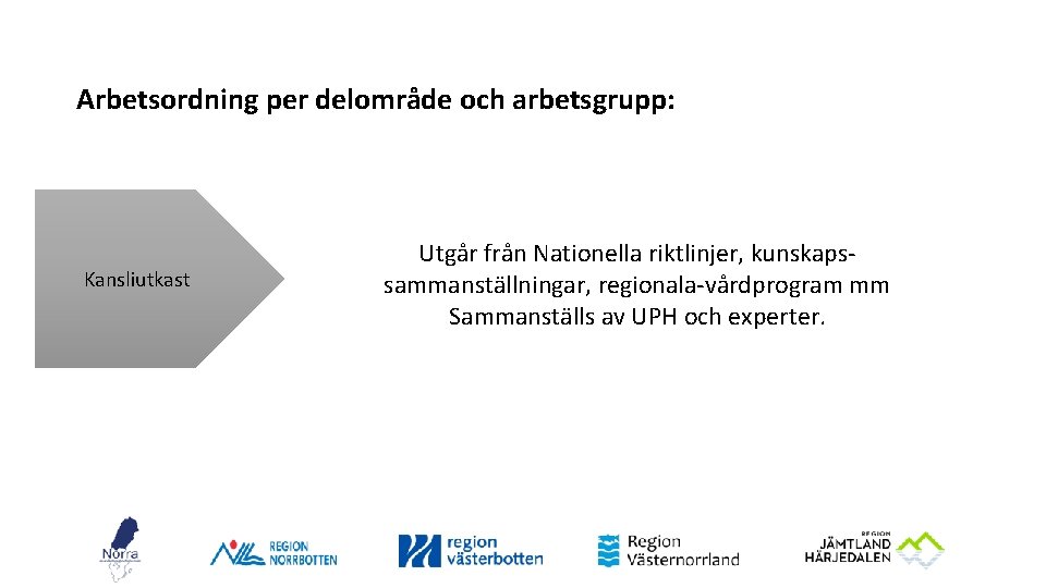 Arbetsordning per delområde och arbetsgrupp: Kansliutkast Utgår från Nationella riktlinjer, kunskapssammanställningar, regionala-vårdprogram mm Sammanställs