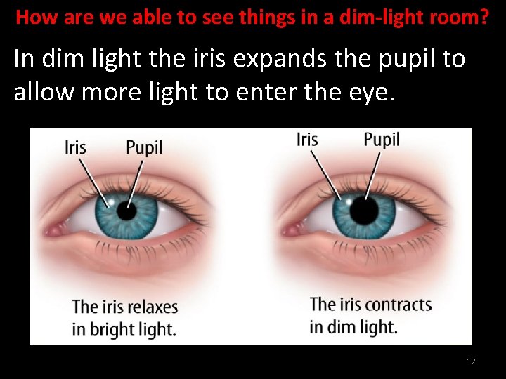 How are we able to see things in a dim-light room? In dim light