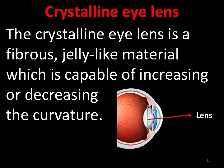 Crystalline eye lens The crystalline eye lens is a fibrous, jelly-like material which is